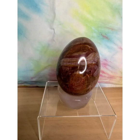 Petrified Wood Egg - Picture 3 of 4